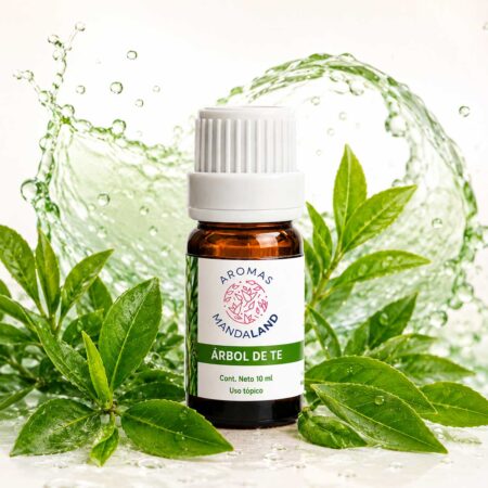 Esencia de Árbol de Té para aromaterapia